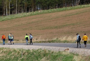 Travelnews.lv dodas 24 km pārgājienā Raiskuma apkārtnē Cēsu novadā 4