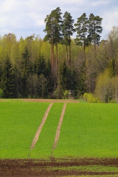 Travelnews.lv dodas 24 km pārgājienā Raiskuma apkārtnē Cēsu novadā 9