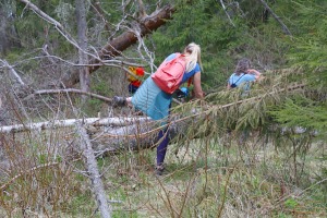 24 km pārgājiens Cēsu novada Raiskuma apkārtnē 28