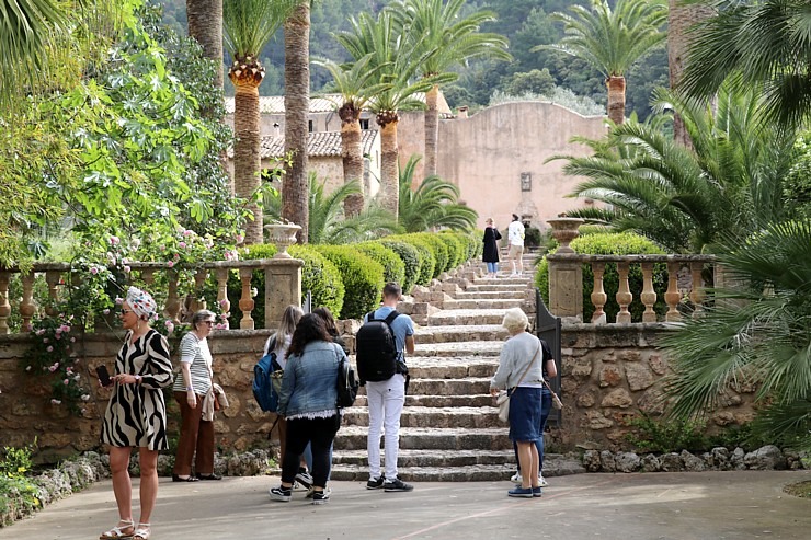 Travelnews.lv iepazīst Maļorkas tropu dārzu un populāru kāzu vietu «Jardines de Alfabia». Sadarbībā ar Latvijas tūrisma firmu «Atlantic Travel» Travelnews.lv iepazīst Maļorkas tropu dārzu un populāru kāzu vietu «Jardines de Alfabia». Sadarbībā ar Latvijas tūrisma firmu «Atlantic Travel» 317842