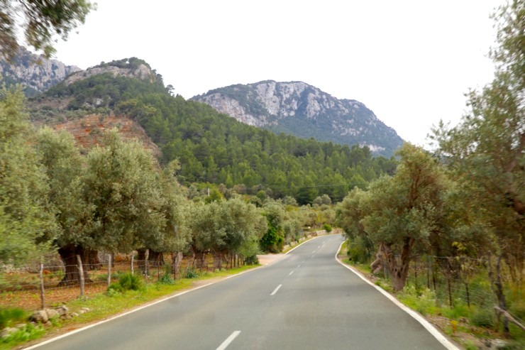 Travelnews.lv dodas ekskursijā Maļorkas ziemeļos pa auto maršrutu: Valldemossa - Soļera. Sadarbībā ar Latvijas tūrisma firmu «Atlantic Travel» Travelnews.lv dodas ekskursijā Maļorkas ziemeļos pa auto maršrutu: Valldemossa - Soļera. Sadarbībā ar Latvijas tūrisma firmu «Atlantic Travel» 318158