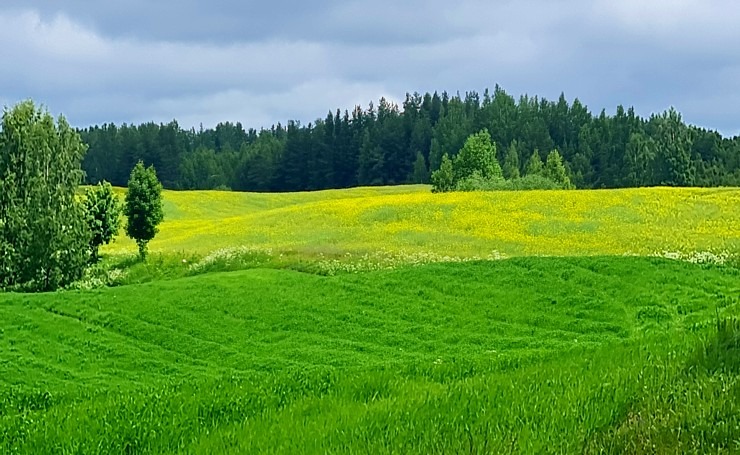 Travelnews.lv ar auto nomas «Avis Latvia» spēkratu apceļo Sivera ezeru, Daugavpili un Krāslavu 319317