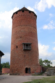 25