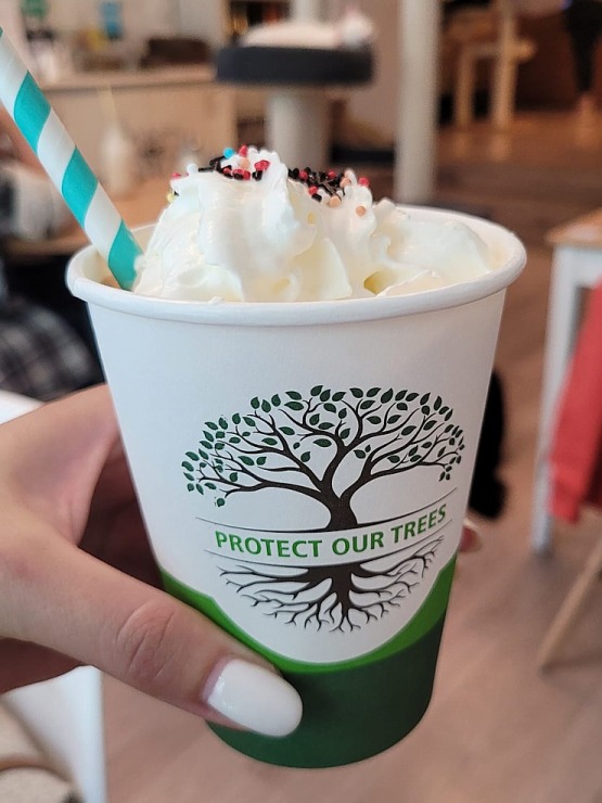 Travelnews.lv apmeklē Viļņas kafejnīcu ar kaķiem «Cat Cafe» Foto: Marta Mackeviča 320489