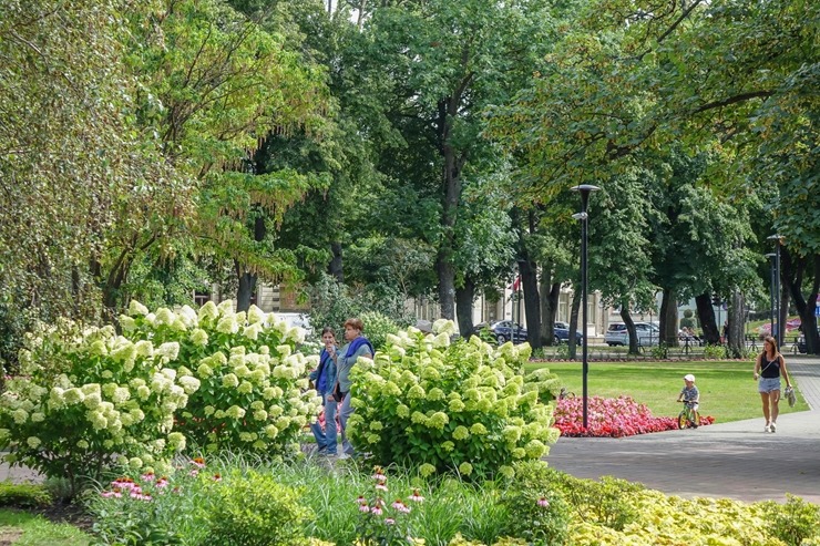 Ventspils krāšņi svin 732 dzimšanas dienu. Foto: Oskars Jūra 321821