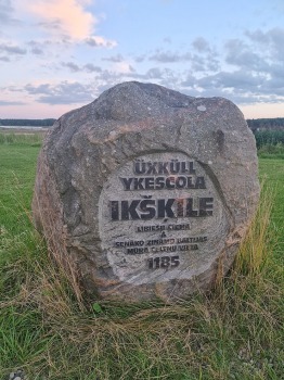 19