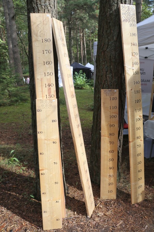«Mūsdienu amatniecības tirgus 2022» pulcējas koka meistari Latvijas Etnogrāfiskajā brīvdabas muzejā «Mūsdienu amatniecības tirgus 2022» pulcējas koka meistari Latvijas Etnogrāfiskajā brīvdabas muzejā 323167