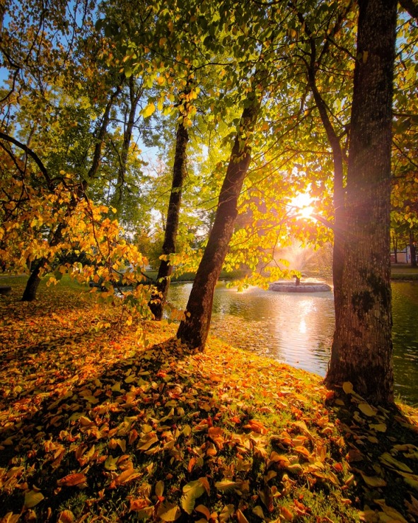 Alūksne gaida ciemos uz rudens pasaku.  Foto: Egons Lācis 324997