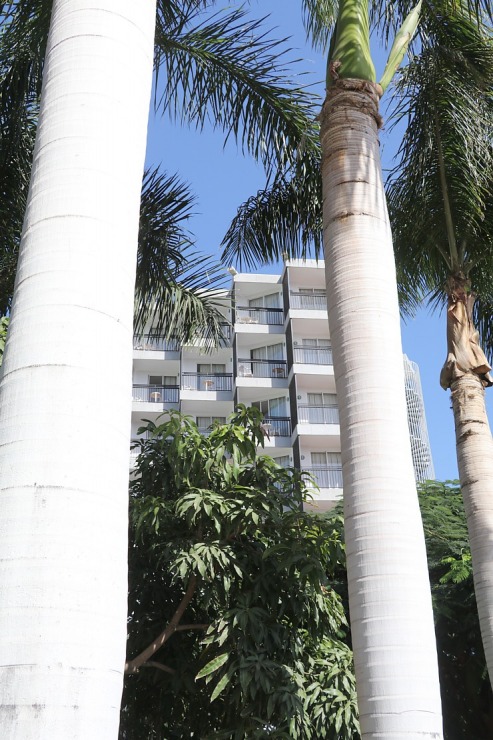 Viesmīlīgi iepazīstam Grankanāriju 3 zvaigžņu viesnīcu «Hotel Beverly Park». Sadarbībā ar Tez Tour un airBaltic 328559