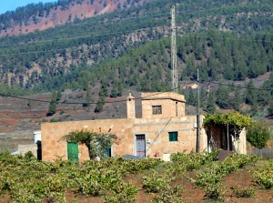 Travelnews.lv dodas ekskursijā ar autobusu uz Tenerifes vulkānu Teide. Sadarbībā ar Tez Tour un airBaltic 18