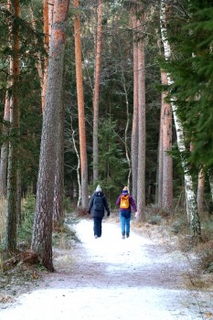 Travelnews.lv sadarbībā ar «Europcar Latvia» dodas 20 km pārgājienā Smiltenes novadā 5