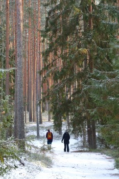 Travelnews.lv sadarbībā ar «Europcar Latvia» dodas 20 km pārgājienā Smiltenes novadā 9