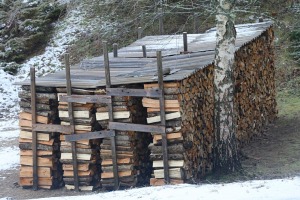 Travelnews.lv 20 km pārgājiens Smiltenē parāda novada kvalitatīvo tūrisma infrastruktūru 12