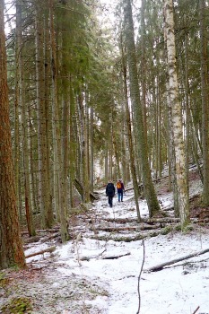 Travelnews.lv 20 km pārgājiens Smiltenē parāda novada kvalitatīvo tūrisma infrastruktūru 4