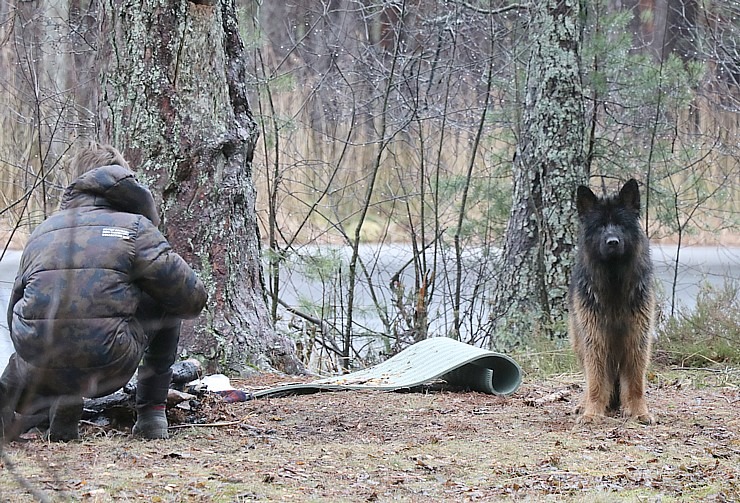 Travelnews.lv iziet 24 km pārgājienu Piejūras dabas parkā gar Gauju, Garezeru, Lilasti un Dzirnezeru 333065