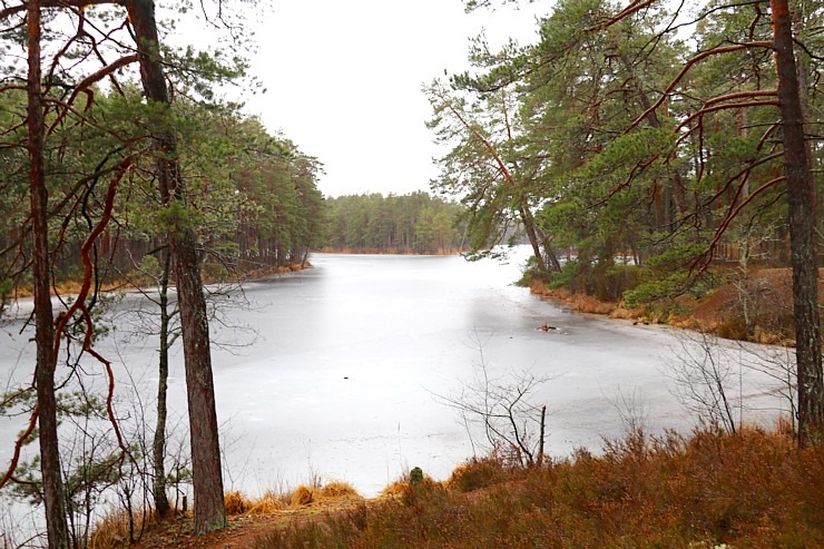 Travelnews.lv iziet 24 km pārgājienu Piejūras dabas parkā gar Gauju, Garezeru, Lilasti un Dzirnezeru Travelnews.lv iziet 24 km pārgājienu Piejūras dabas parkā gar Gauju, Garezeru, Lilasti un Dzirnezeru 333067