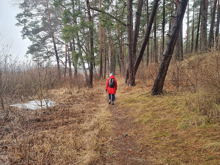 Travelnews.lv iziet 24 km pārgājienu Piejūras dabas parkā gar Gauju, Garezeru, Lilasti un Dzirnezeru 333084