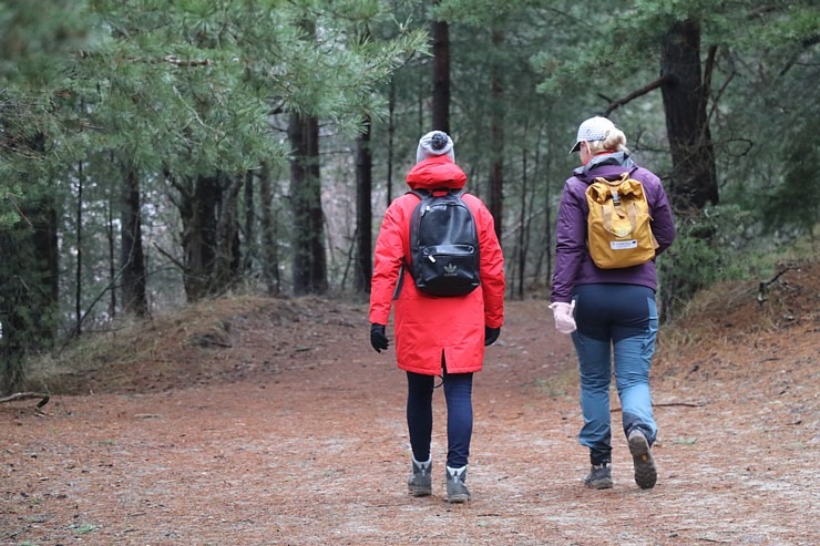 Travelnews.lv iziet 24 km pārgājienu Piejūras dabas parkā gar Gauju, Garezeru, Lilasti un Dzirnezeru 333048