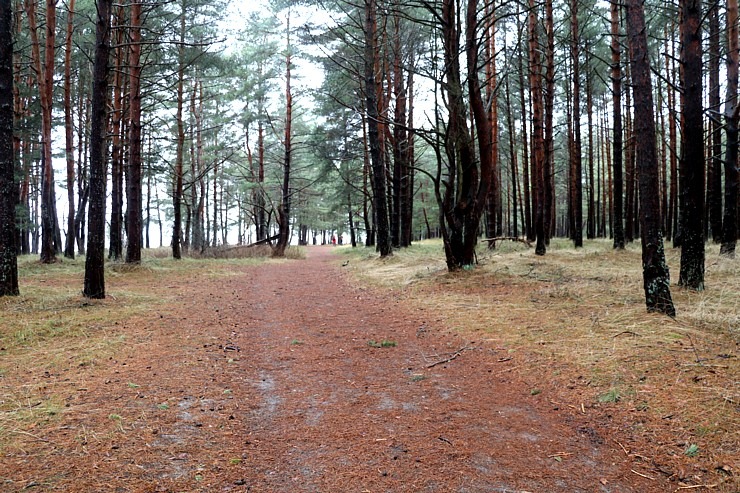 Travelnews.lv iziet 24 km pārgājienu Piejūras dabas parkā gar Gauju, Garezeru, Lilasti un Dzirnezeru Travelnews.lv iziet 24 km pārgājienu Piejūras dabas parkā gar Gauju, Garezeru, Lilasti un Dzirnezeru 333049