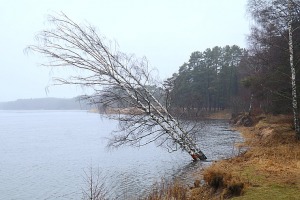 Travelnews.lv iziet 24 km pārgājienu Piejūras dabas parkā gar Gauju, Garezeru, Lilasti un Dzirnezeru 2