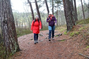 Travelnews.lv iziet 24 km pārgājienu Piejūras dabas parkā gar Gauju, Garezeru, Lilasti un Dzirnezeru 14