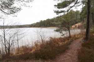 Travelnews.lv iziet 24 km pārgājienu Piejūras dabas parkā gar Gauju, Garezeru, Lilasti un Dzirnezeru 16