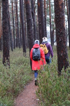 Travelnews.lv iziet 24 km pārgājienu Piejūras dabas parkā gar Gauju, Garezeru, Lilasti un Dzirnezeru 22