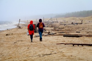 Travelnews.lv iziet 24 km pārgājienu Piejūras dabas parkā gar Gauju, Garezeru, Lilasti un Dzirnezeru 34