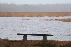 Travelnews.lv iziet 24 km pārgājienu Piejūras dabas parkā gar Gauju, Garezeru, Lilasti un Dzirnezeru 8