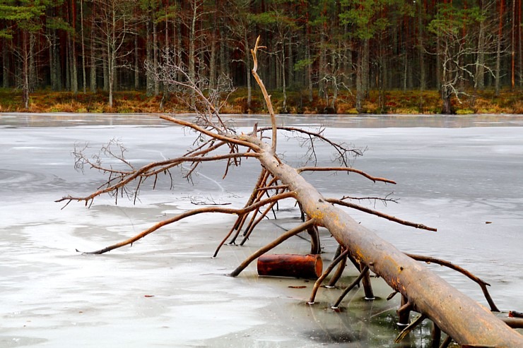 Piejūras dabas parks piedāvā aizraujošus foto momentus 24 km pārgājienā 333103