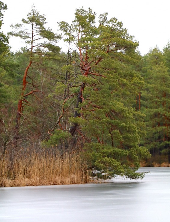 Piejūras dabas parks piedāvā aizraujošus foto momentus 24 km pārgājienā 333093