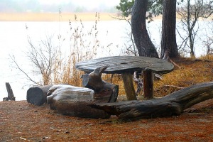 Piejūras dabas parks piedāvā aizraujošus foto momentus 24 km pārgājienā 18