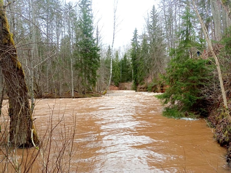 Amatas upe pārsteidz laivotājus un ceļotājus ar pavasara ūdeņu spēku. Foto: Agita Līviņa 334370