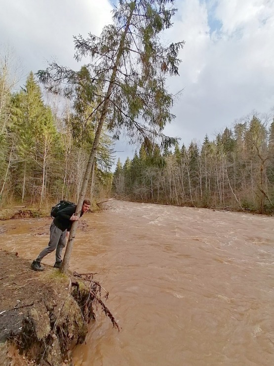 Amatas upe pārsteidz laivotājus un ceļotājus ar pavasara ūdeņu spēku. Foto: Lauris Lizbobskis 334371