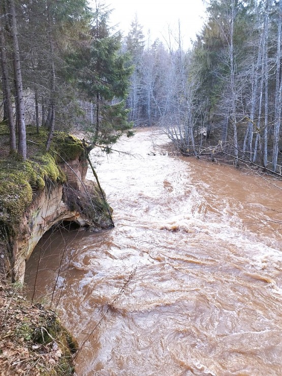 Amatas upe pārsteidz laivotājus un ceļotājus ar pavasara ūdeņu spēku. Foto: Lauris Lizbobskis 334376