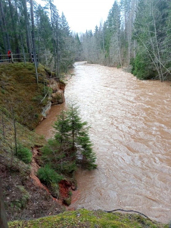 Amatas upe pārsteidz laivotājus un ceļotājus ar pavasara ūdeņu spēku. Foto: Agita Līviņa 334366