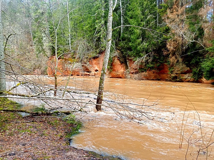 Amatas upe pārsteidz laivotājus un ceļotājus ar pavasara ūdeņu spēku. Foto: Agita Līviņa 334367