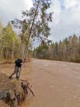 Amatas upe pārsteidz laivotājus un ceļotājus ar pavasara ūdeņu spēku. Foto: Lauris Lizbobskis 11