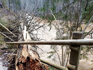 Amatas upe pārsteidz laivotājus un ceļotājus ar pavasara ūdeņu spēku. Foto: Lauris Lizbobskis 17