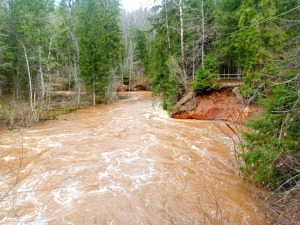 Amatas upe pārsteidz laivotājus un ceļotājus ar pavasara ūdeņu spēku. Foto: Agita Līviņa 5