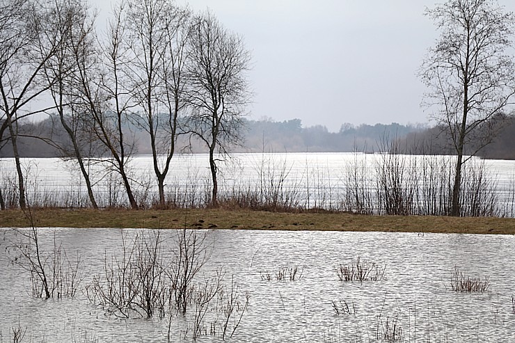 Daugava Latgalē ar palu ūdeņiem appludina Krāslavu, Daugavpili, Līvānus un... 334728