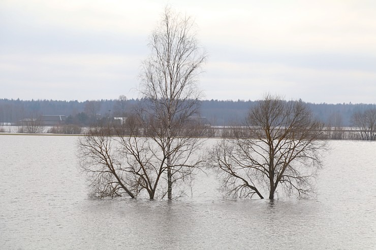 Daugava Latgalē ar palu ūdeņiem appludina Krāslavu, Daugavpili, Līvānus un... 334729