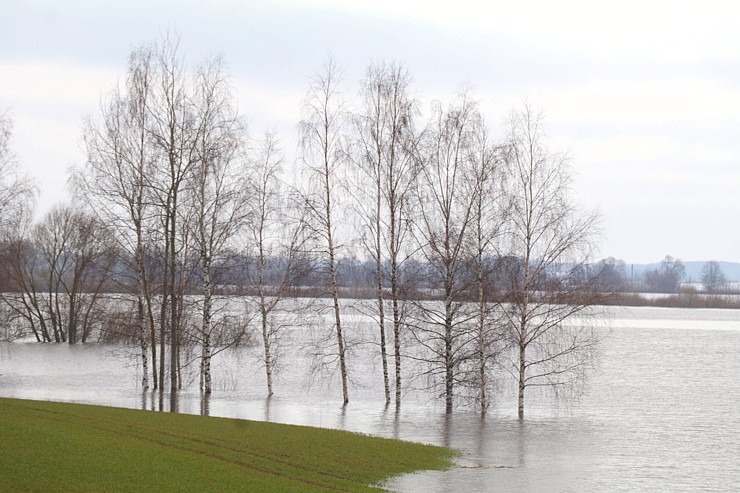 Daugava Latgalē ar palu ūdeņiem appludina Krāslavu, Daugavpili, Līvānus un... 334730