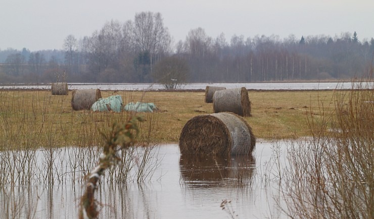 Daugava Latgalē ar palu ūdeņiem appludina Krāslavu, Daugavpili, Līvānus un... 334732