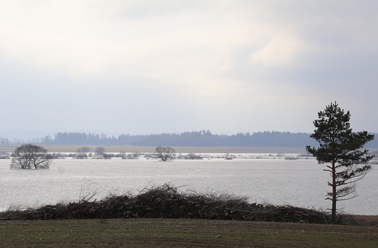 Daugava Latgalē ar palu ūdeņiem appludina Krāslavu, Daugavpili, Līvānus un... 334733