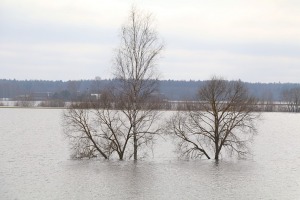 Daugava Latgalē ar palu ūdeņiem appludina Krāslavu, Daugavpili, Līvānus un... 22