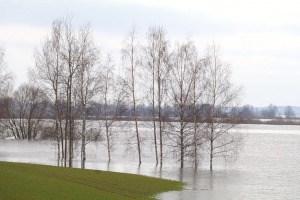 Daugava Latgalē ar palu ūdeņiem appludina Krāslavu, Daugavpili, Līvānus un... 23