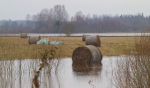 Daugava Latgalē ar palu ūdeņiem appludina Krāslavu, Daugavpili, Līvānus un... 25