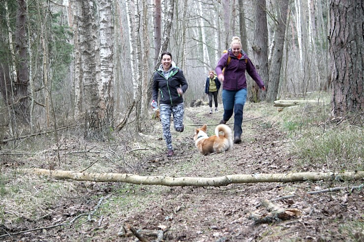 Dodamies 22 km pārgājienā ar korgiju Engures apkārtnē sadarbībā ar «Europcar Latvija» 335213