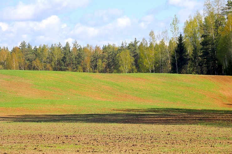 Pavasaris ar lielu spēku ienāk Latgales dabā 335713